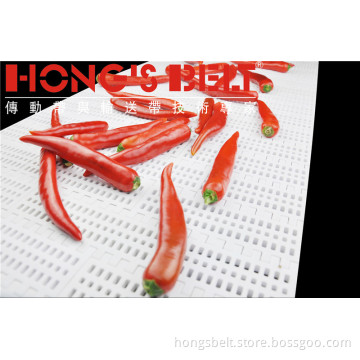 Food Grade Industry Modualr Conveyor Belt (HS-100B)